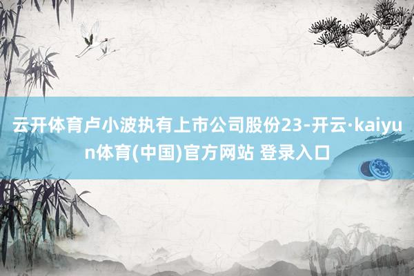 云开体育卢小波执有上市公司股份23-开云·kaiyun体育(中国)官方网站 登录入口