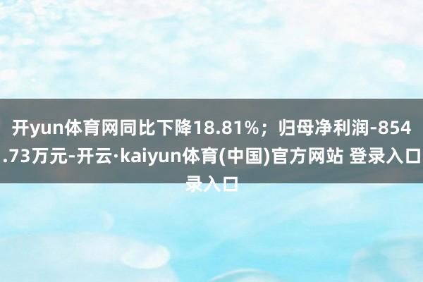 开yun体育网同比下降18.81%；归母净利润-854.73万元-开云·kaiyun体育(中国)官方网站 登录入口